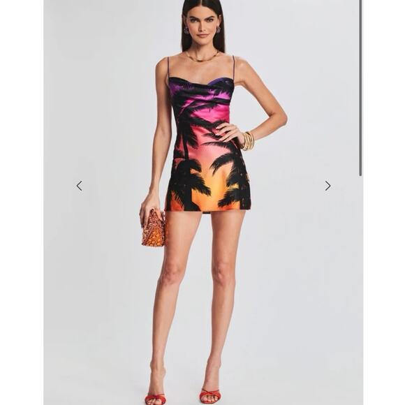 NWOT Retrofete Rylynn Silk Dress in Sunset Palm Print SZ XS - Picture 1 of 8